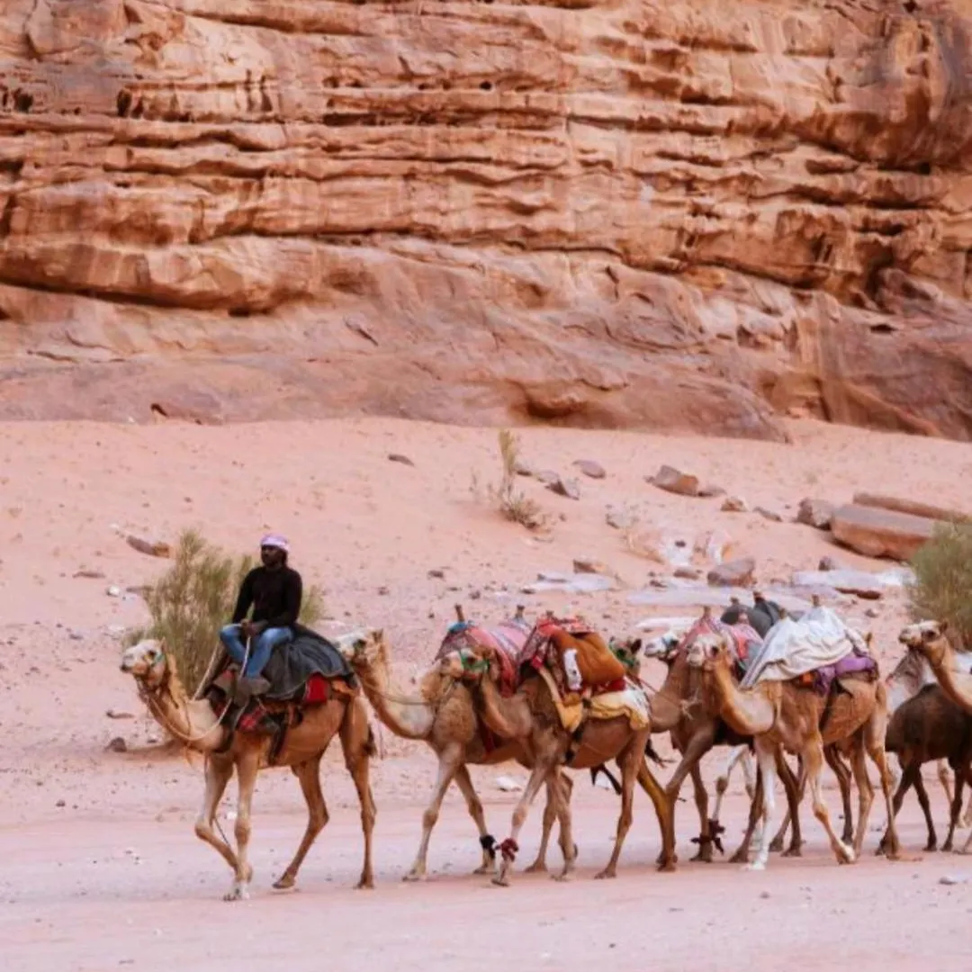 Wadi Rum Lovely Camp Aqaba 0*,  Jordan